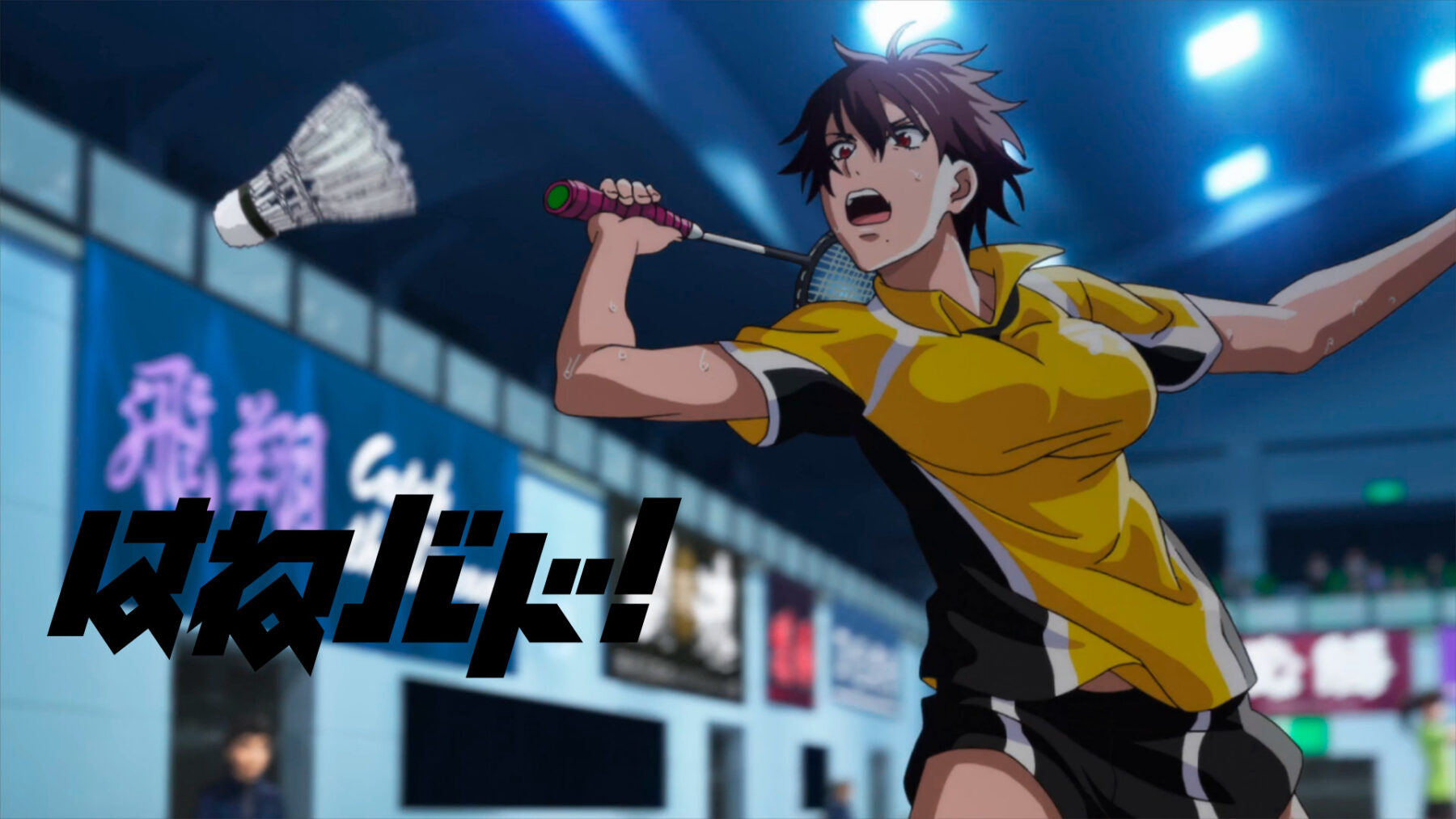 serie anime de badminton hanebado